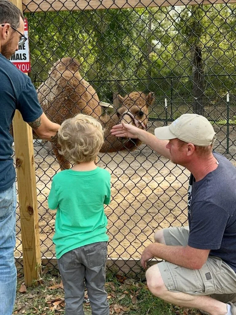 Dad, son, and staff meet camel at Bambi's Mini Petting Farm Orlando
