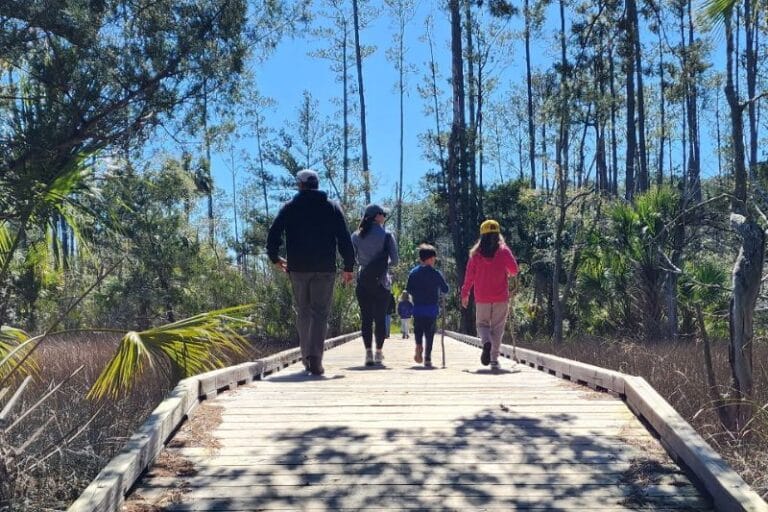 Redbird Creek Trail at Fort McAllister