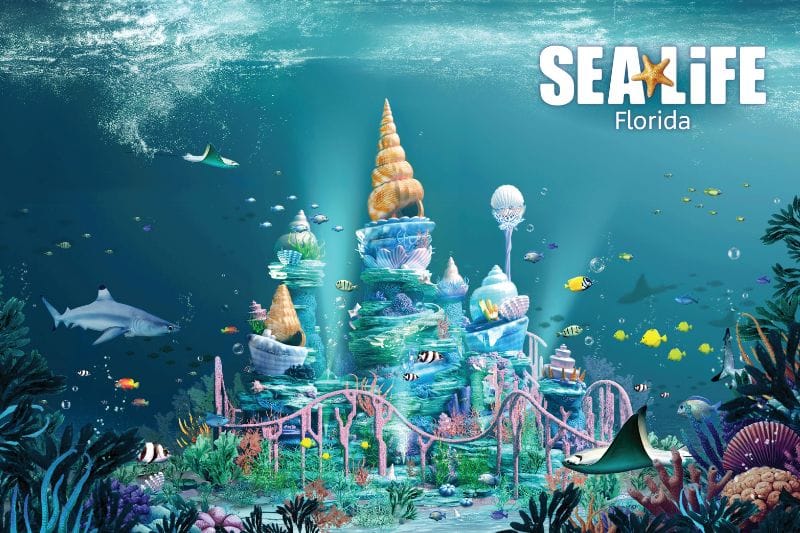 Theme Park Under the Sea Rendering SEA LIFE Florida