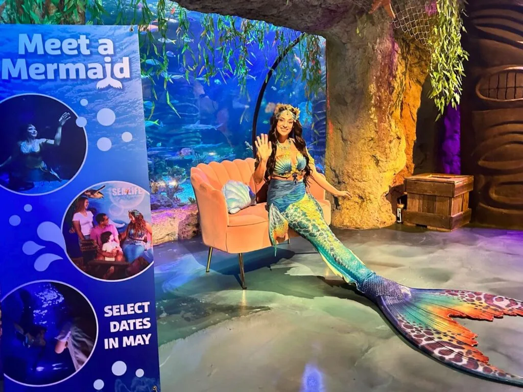Meet a Mermaid at Sea Life Orlando - image by Dani Meyering