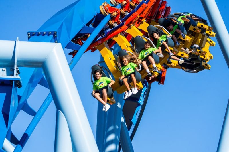 Busch Gardens Roller Coaster