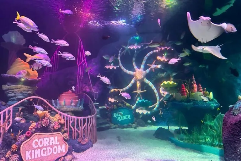 Sea Life Florida at LEGOLAND Coral Kingdom and Reef Rider Theme Park Under the Sea - image by Dani Meyering compress