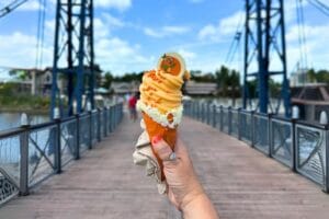 Orange Bird Cone at Disney Springs Flavors of Florida - image by Dani Meyering landscape