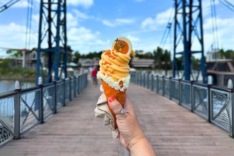 Orange Bird Cone at Disney Springs Flavors of Florida - image by Dani Meyering landscape