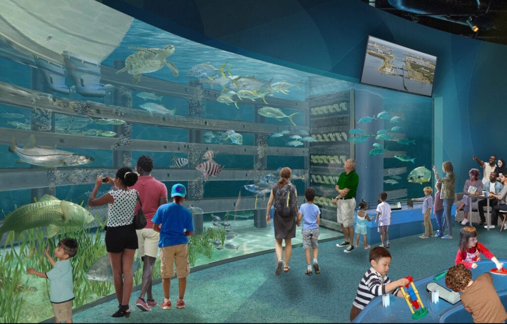 Brevard Zoo Aquarium Concept