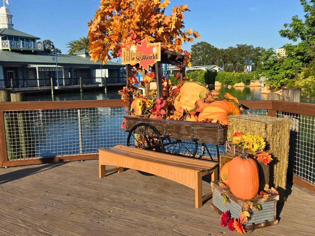 Fall Themed Photo Opportunity SeaWorld Halloween Spooktacular - image by Zoe Joiner