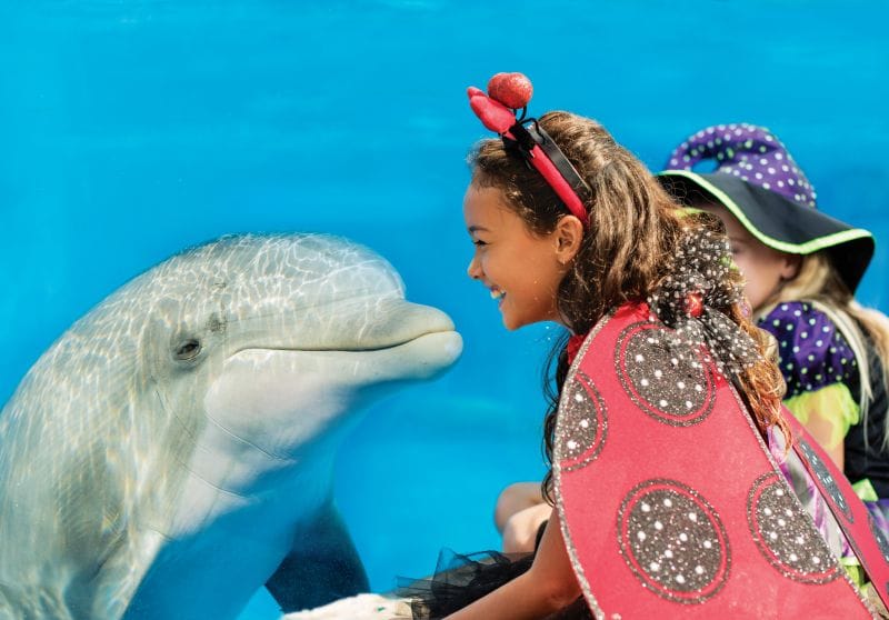 SeaWorld Halloween event in Orlando