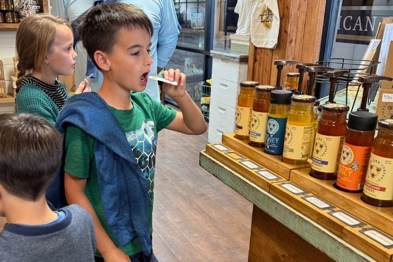 boy tasting honey