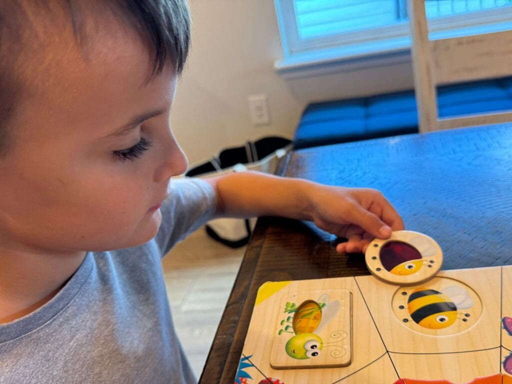 Boy with honeybee puzzle