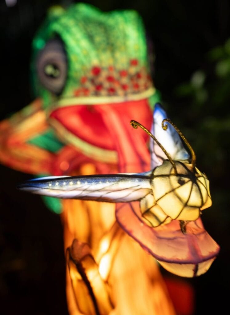 Aquatica Lantern Festival ILLUMINATE - chameleon lantern in green close up - image from SeaWorld Orlando Public Relations