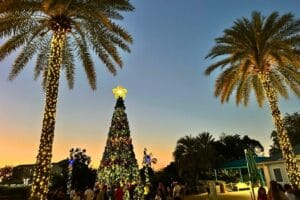 Best Christmas Lights in Orlando SeaWorld kids - image by Dani Meyering