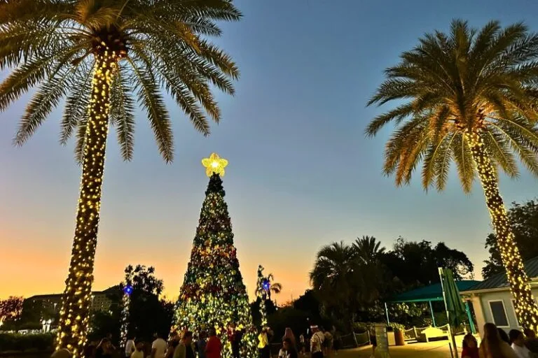 Best Christmas Lights in Orlando SeaWorld kids - image by Dani Meyering