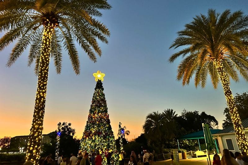 Best Christmas Lights in Orlando SeaWorld kids - image by Dani Meyering