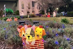 Christmas Lights Free Lake Concord Park Casselberry near Orlando - image by Dani Meyering