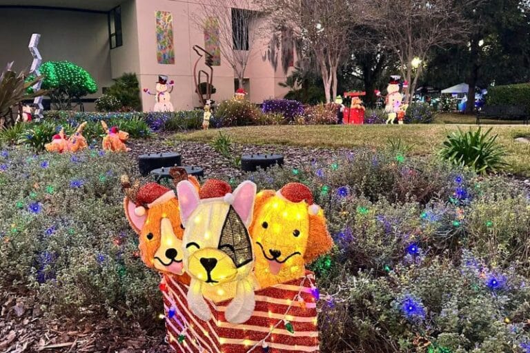 Christmas Lights Free Lake Concord Park Casselberry near Orlando - image by Dani Meyering