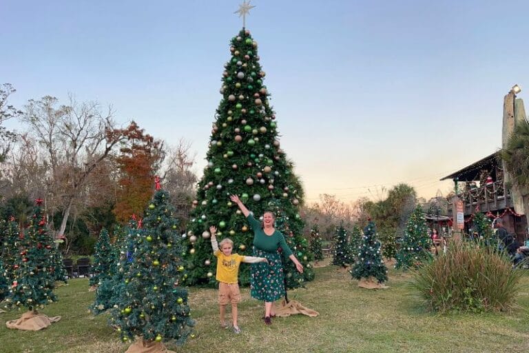 What’s Open for Families in Orlando on Christmas Day? Ideas for Getting Out of the House