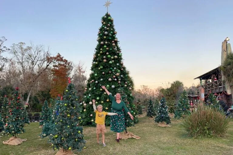 What’s Open for Families in Orlando on Christmas Day? Ideas for Getting Out of the House