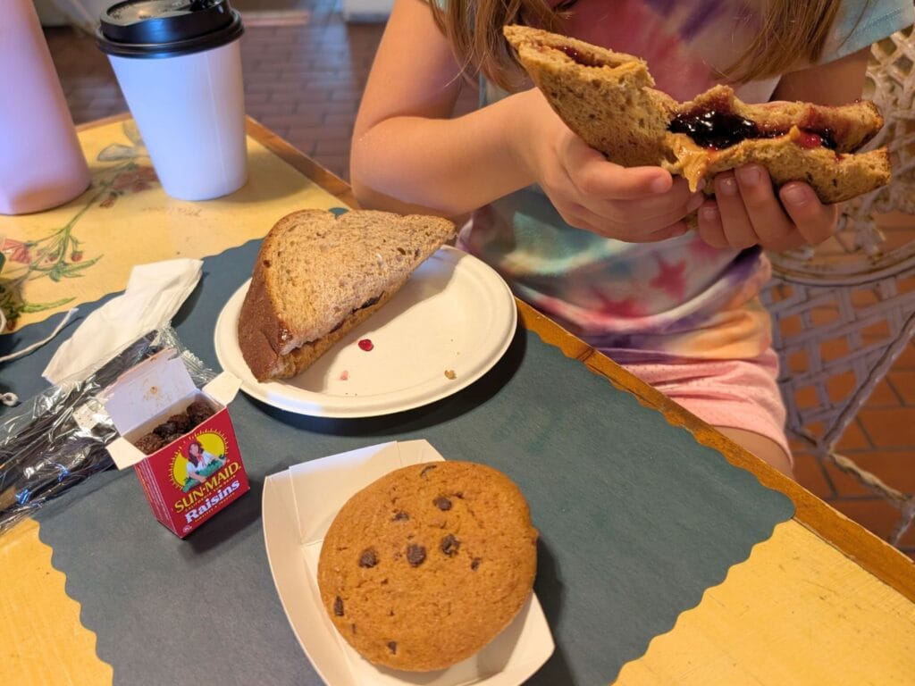 Back Porch Restaurant Kids Meal sandwich and cookie - image by Maria DiCicco