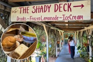 Kid Friendly Restaurant near Orlando Back Porch - image by Maria DiCicco