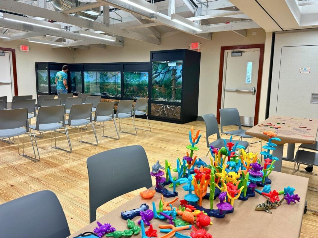 Education Room Marine Science Center Ponce Inlet Florida - image by Dani Meyering
