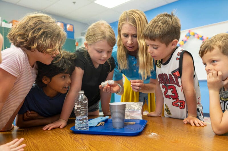 Summer@ Park Maitland School