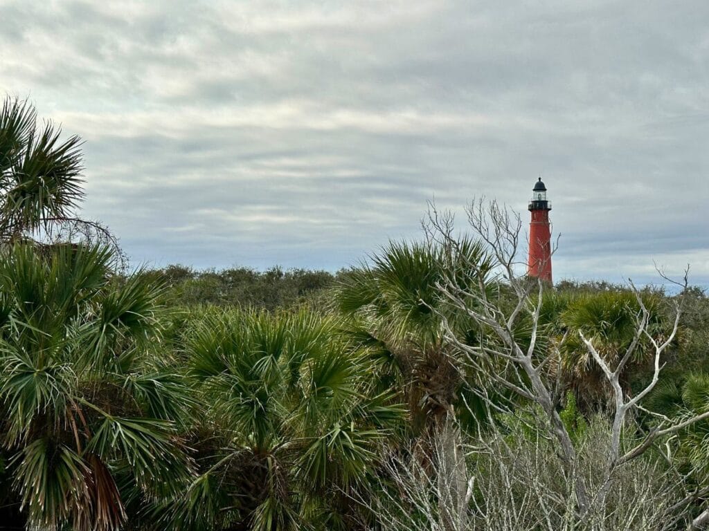 Ponce Inlet Lighthouse from Marine Science Center Observation Tower - image by Dani Meyering comp