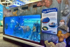 aquarium exhibit Marine Science Center Ponce Inlet Florida - image by Dani Meyering comp
