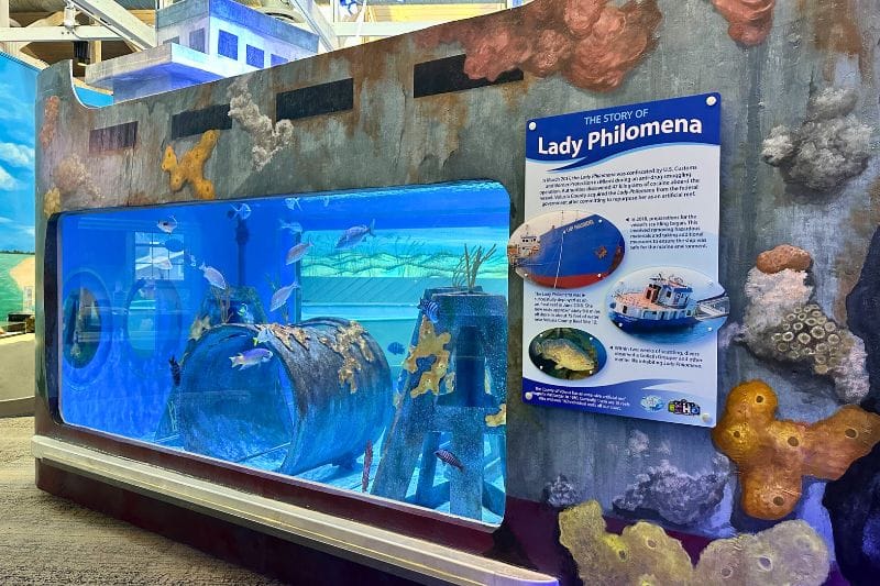 aquarium exhibit Marine Science Center Ponce Inlet Florida - image by Dani Meyering comp