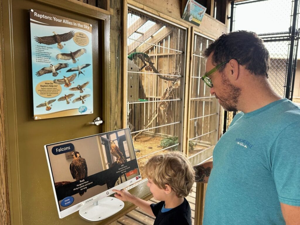 young boy at birds of prey area Marine Science Center Ponce Inlet Florida - image by Dani Meyering