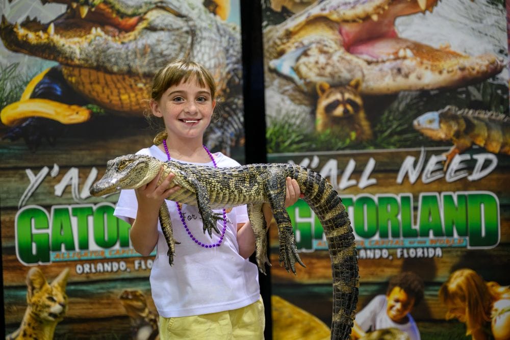 A girl holding an alligator at the FL Kids and Family Fest Expo coming up in August