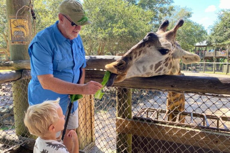 The Best Orlando Zoos, Aquariums, and Animal Encounters for Kids