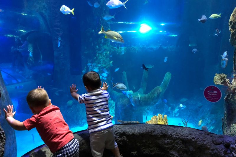 The 25 Best Things to Do in Orlando on a Rainy Day When It Pours