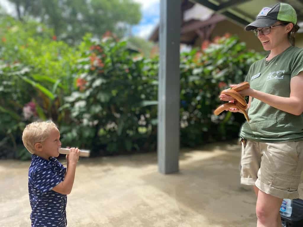 Rat Snake Animal Encounter Central Florida Zoo with Kids 