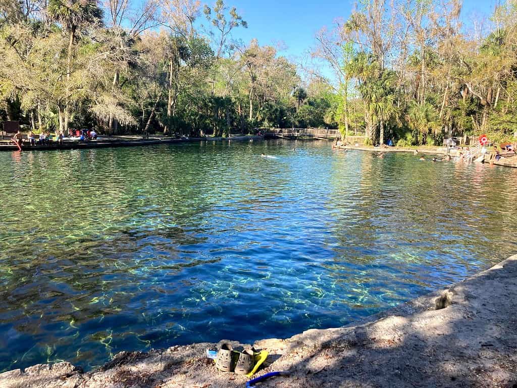 A Kid Friendly Day at Wekiwa Springs State Park Near Orlando - Orlando ...