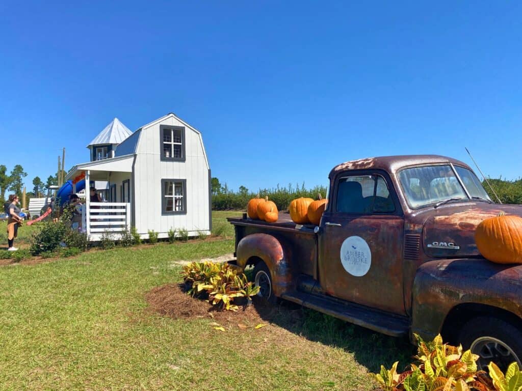 10 Adorable Pumpkin Patches In Orlando For Family Photos Orlando   Amber Brooke Farms Pumpkin Patch Orlando By Dani Meyering 1024x768 