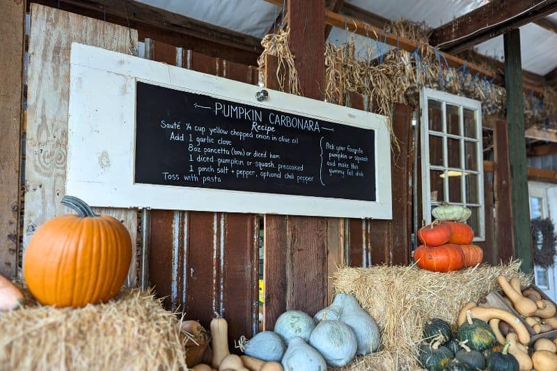 Pumpkin Disposal Carbinara pasta recipe on a chalkboard with pumpkins displayed around it
