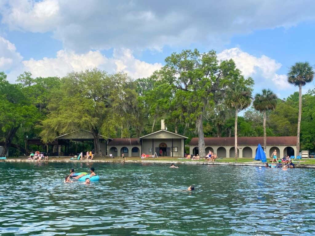 De Leon Springs State Park Swimming Area with palm trees and blue skies
