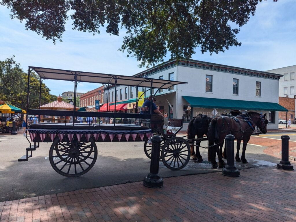 two horses and a buggy on the street in Savannah