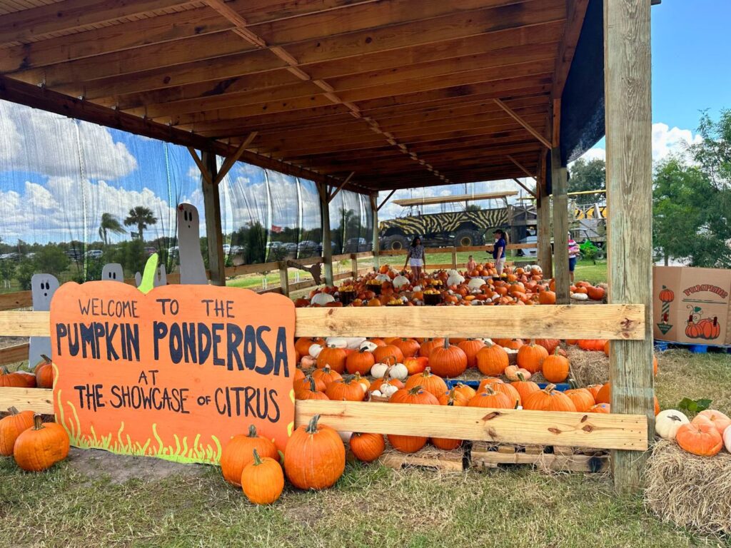Pumpkin Ponderosa at The Showcase of Citrus photo opportunity with tractor and wooden ghosts