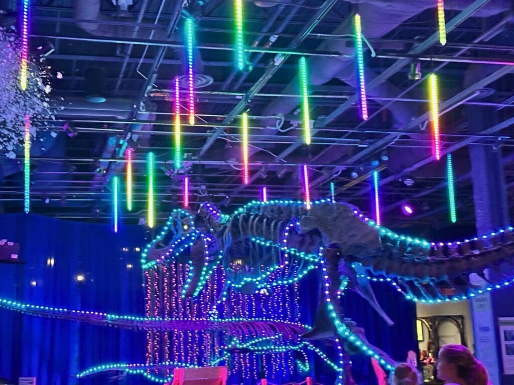 Dinos in Lights Orlando Science Center Christmas Lights - image by Dani Meyering