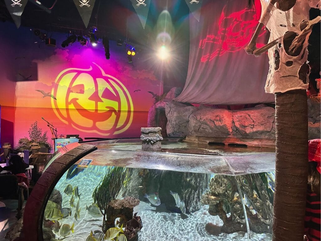 Fish tank and craft area SEA LIFE Orlando Pirates of the Haunted Seas - image by Dani Meyering