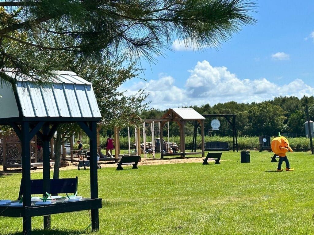 Pumpkin mascot at Field and playground Amber Brooke Farms - image by Dani Meyering