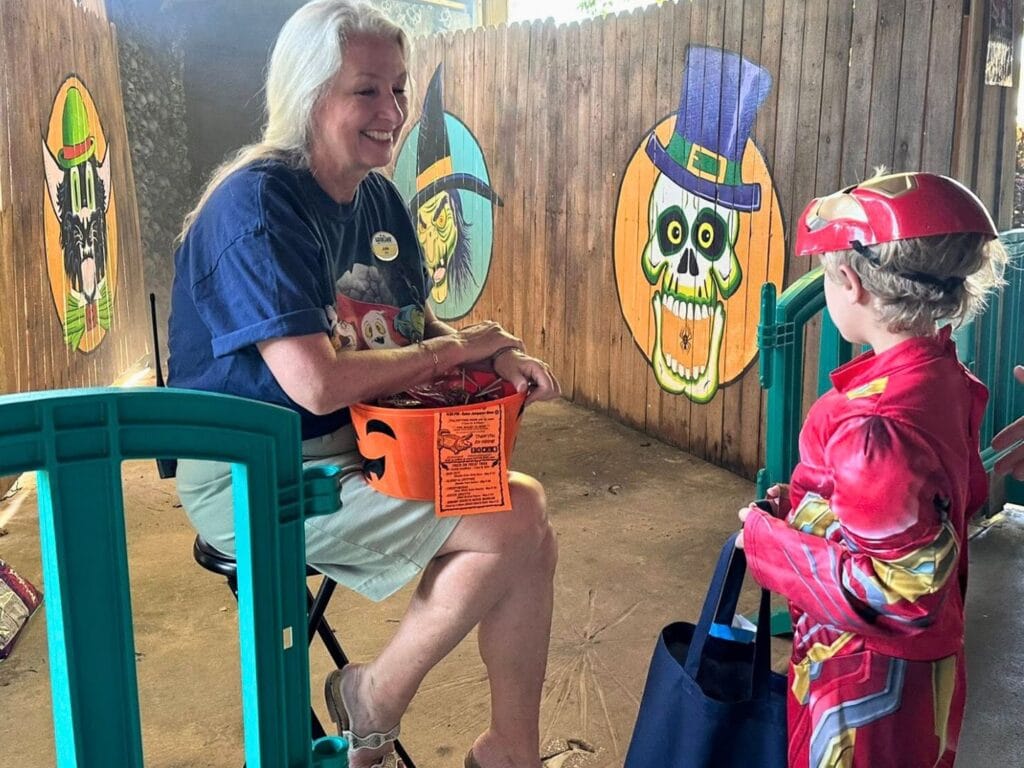 Young Boy at Gatorland Gators Ghosts and Goblins Halloween Trick or Treat - image by Dani Meyering