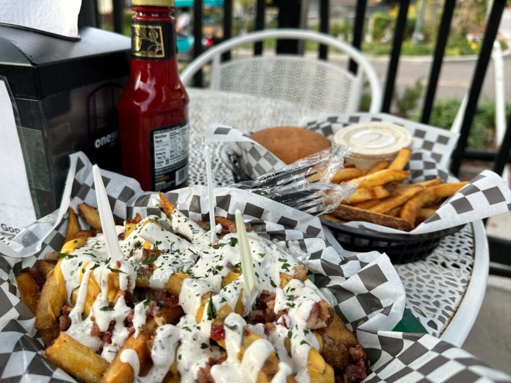 Loaded Fries at The Salted Fry Mount Dora - image by Dani Meyering