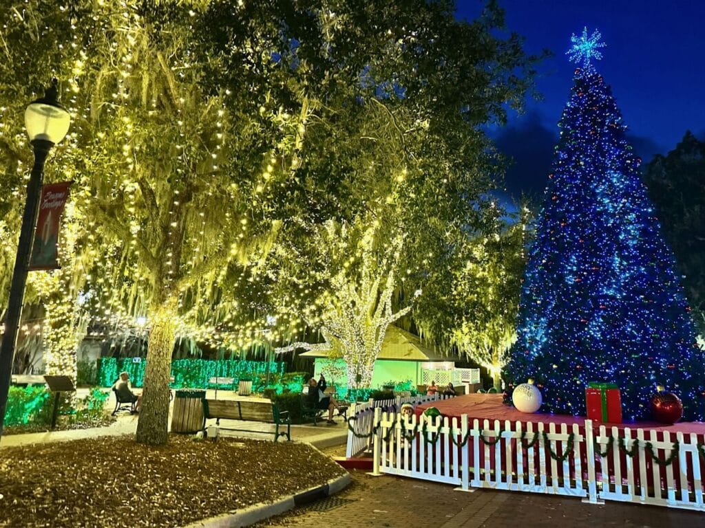 Sunset Park Christmas Lights Mount Dora - image by Dani Meyering 2